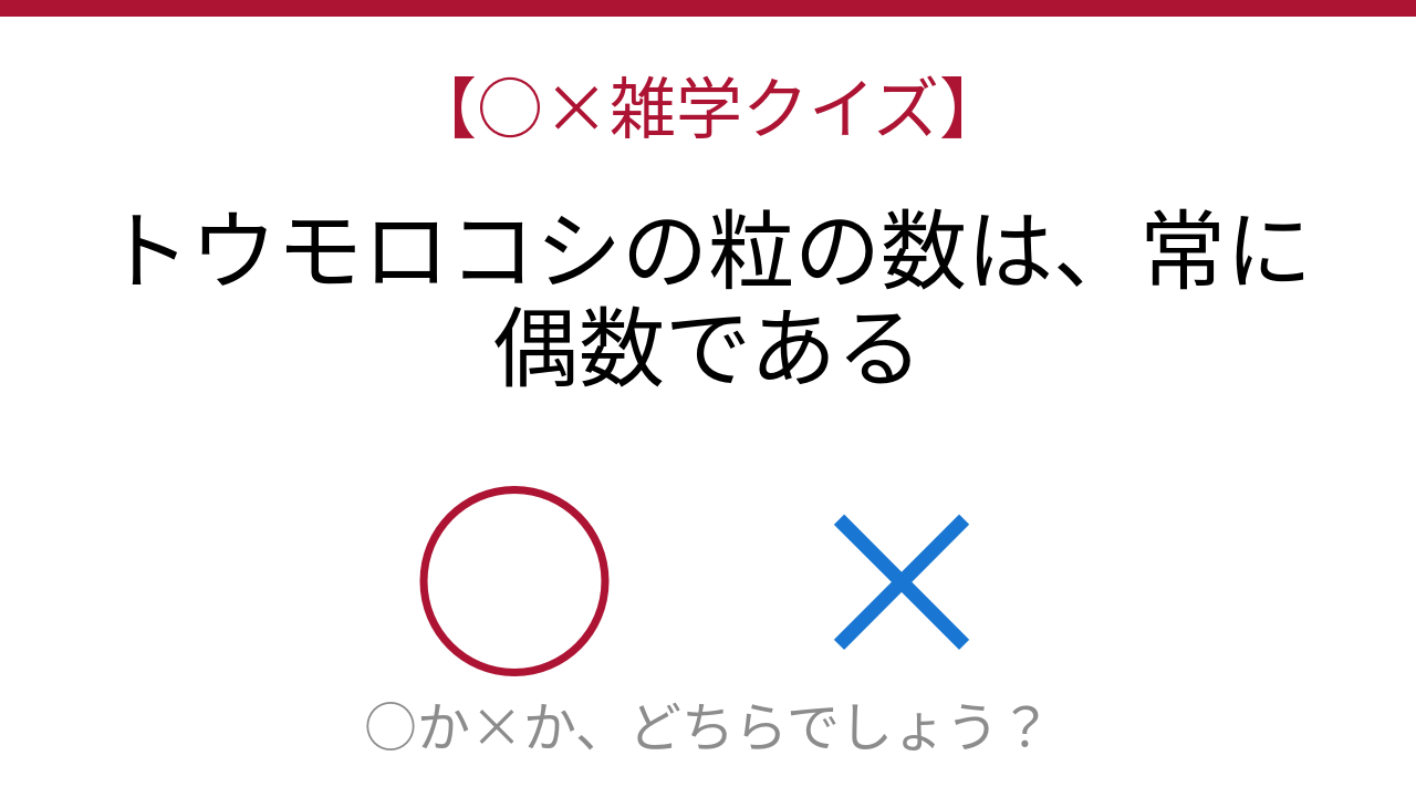 【○×雑学クイズ】これ本当？トウモロコシの秘密