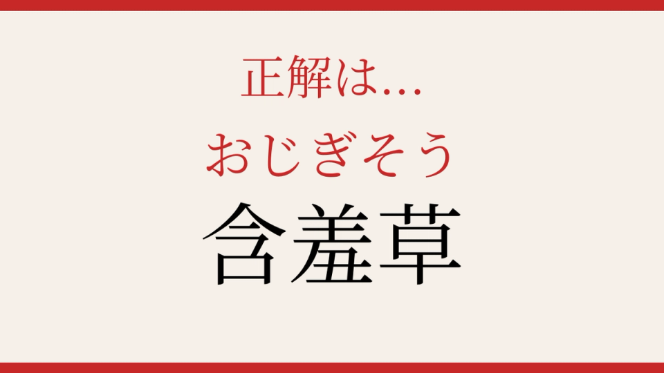 正解画像