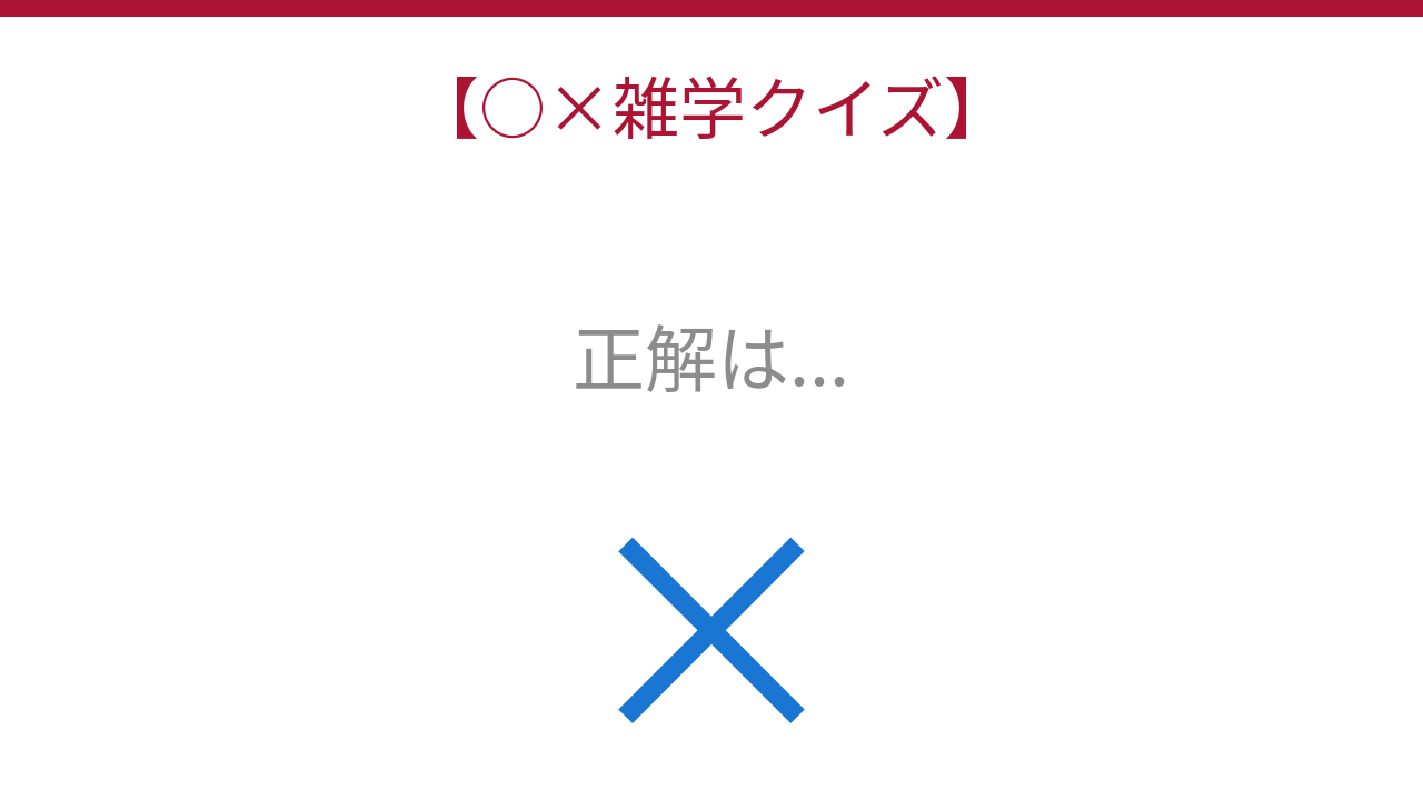正解画像