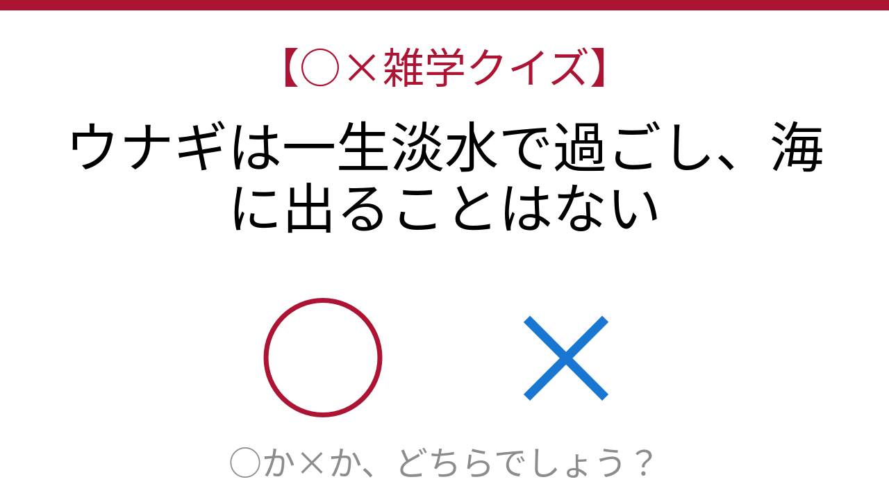 【○×雑学クイズ】これ本当？ウナギの驚くべき二重生活