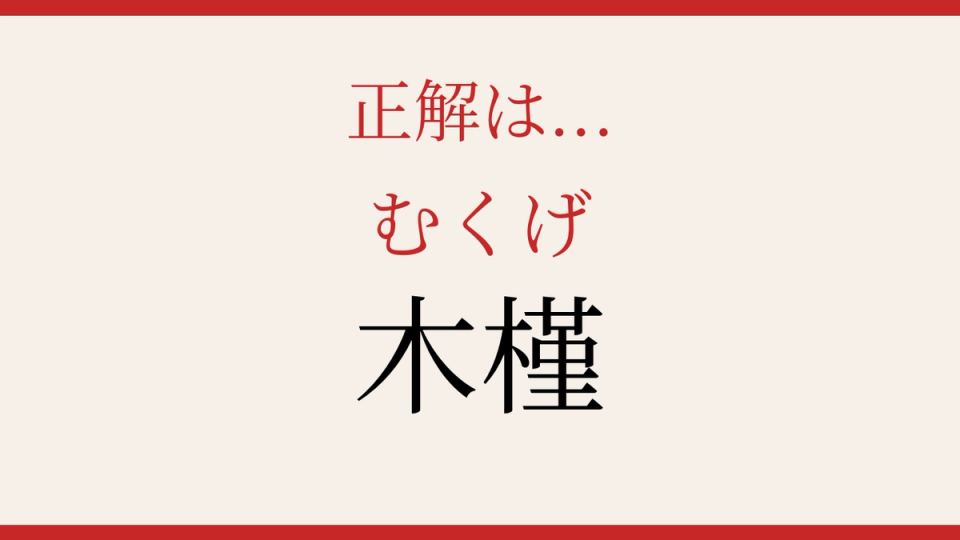 正解画像