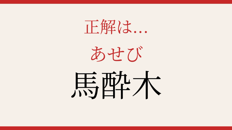 正解画像