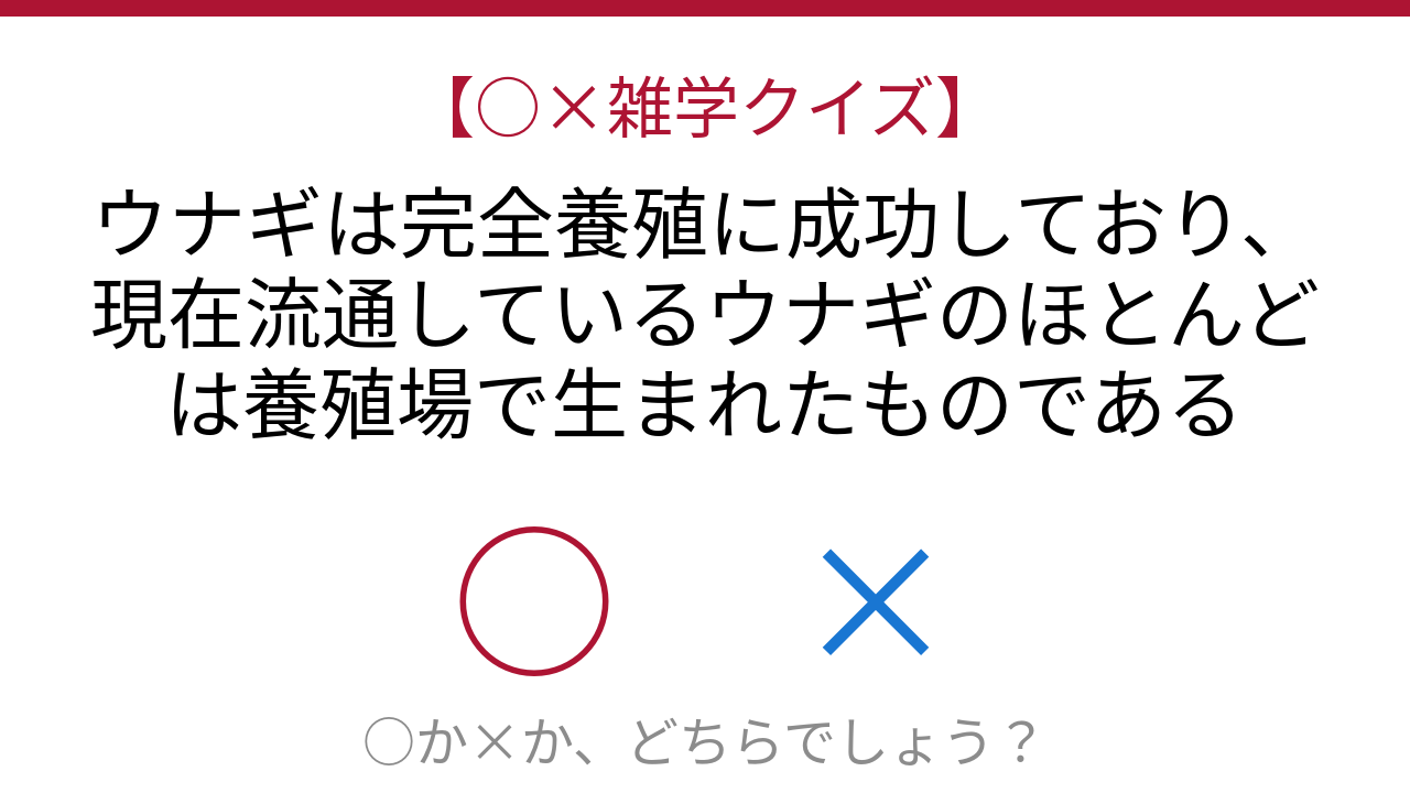 【○×雑学クイズ】これ本当？ウナギの養殖事情