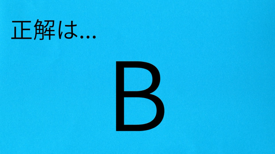 正解画像
