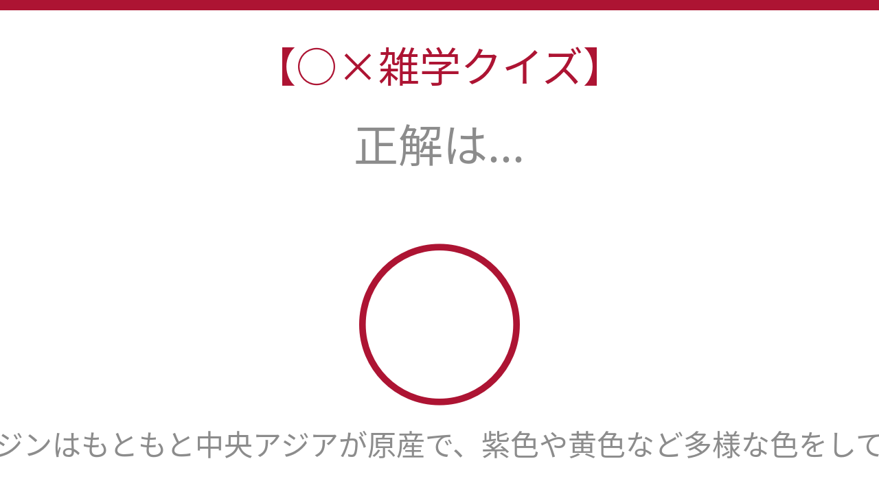 正解画像
