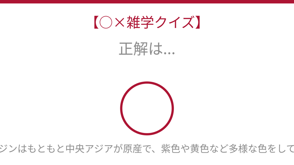 正解画像