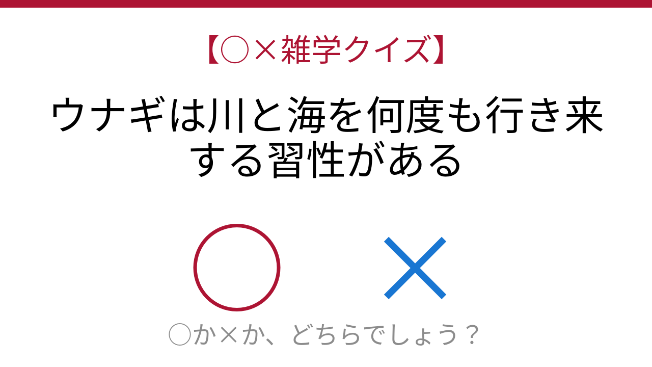 【○×雑学クイズ】これ本当？ウナギの驚くべき人生