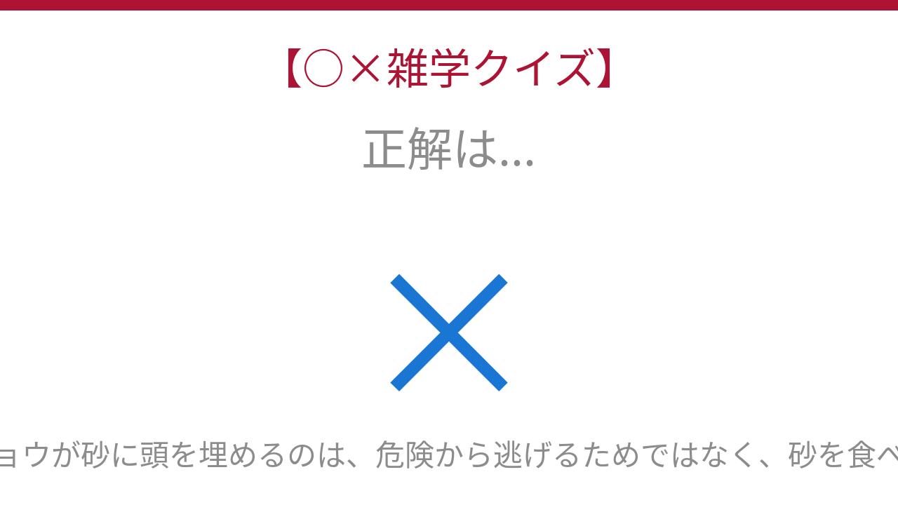 正解画像