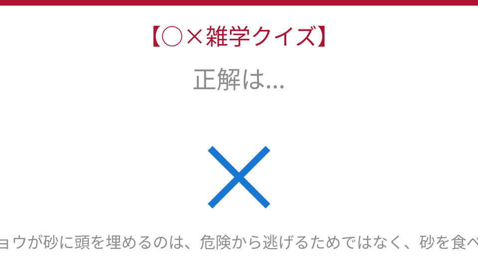 正解画像