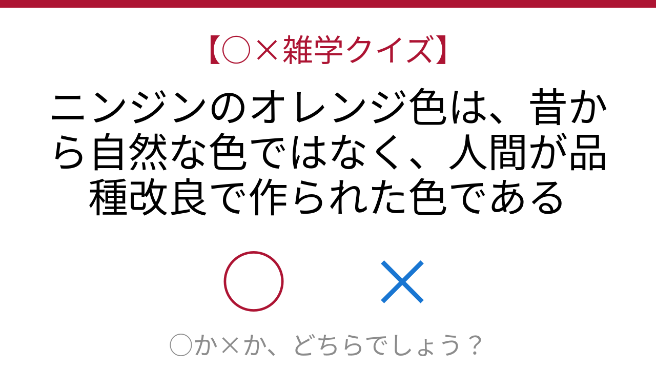 【○×雑学クイズ】これ本当？ニンジンの色の秘密
