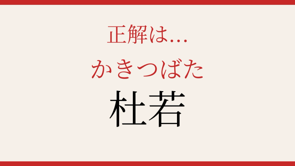 正解画像