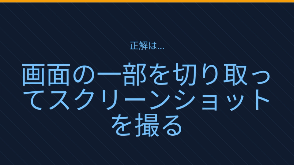 正解画像