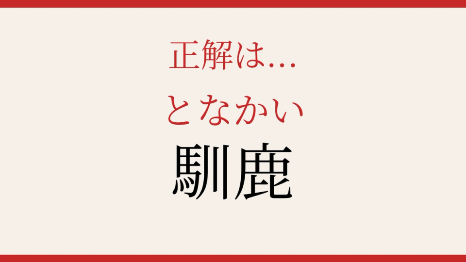 正解画像