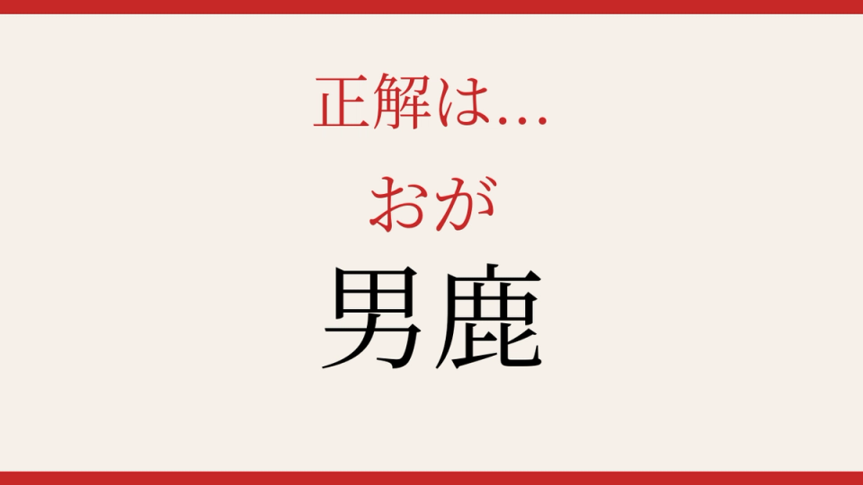 正解画像