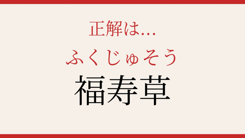 正解画像