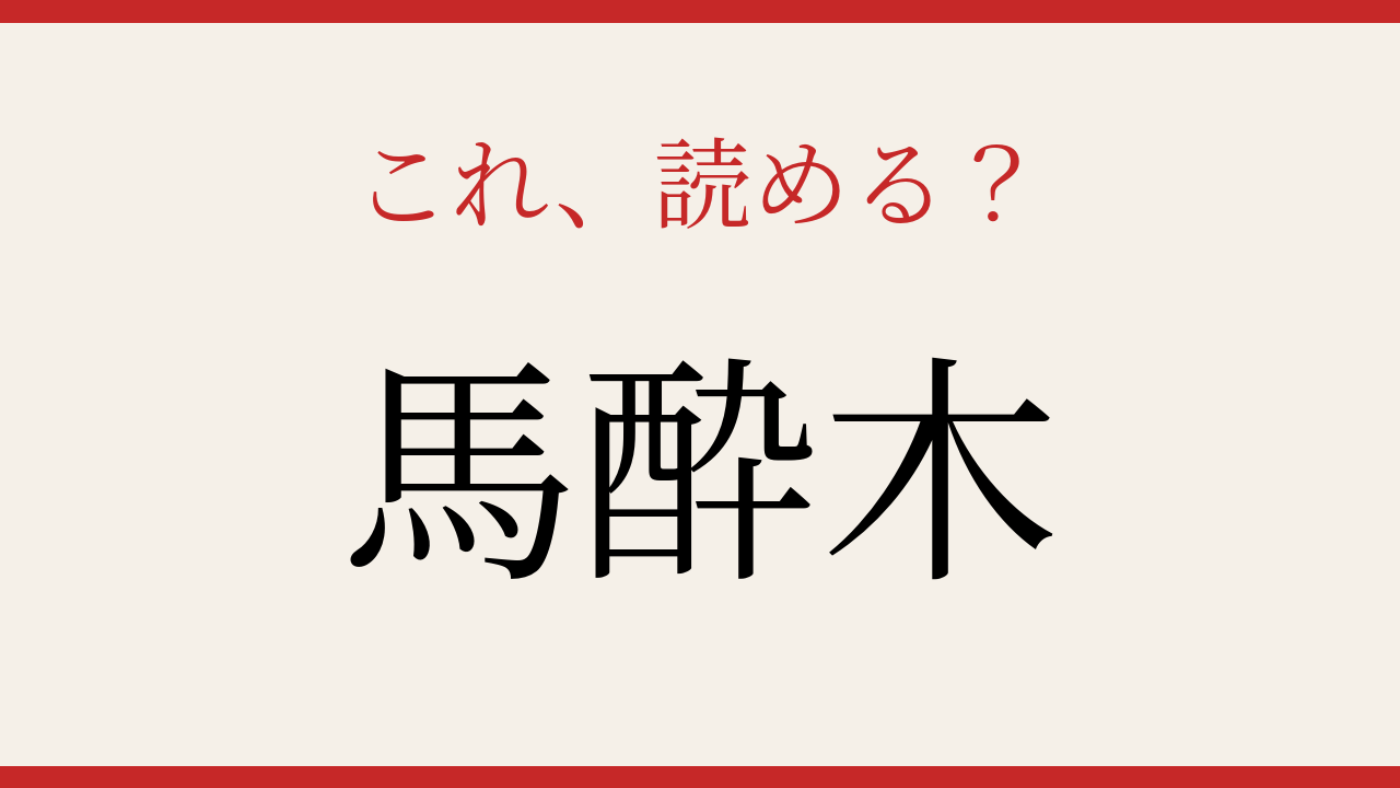 【難読漢字】あなたは読める？春の庭に咲く白い花