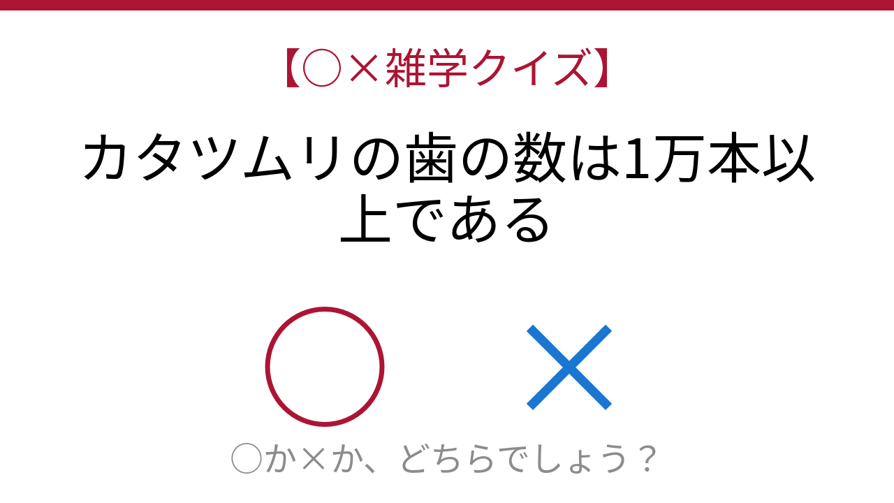 【○×雑学クイズ】これ本当?カタツムリの秘密兵器