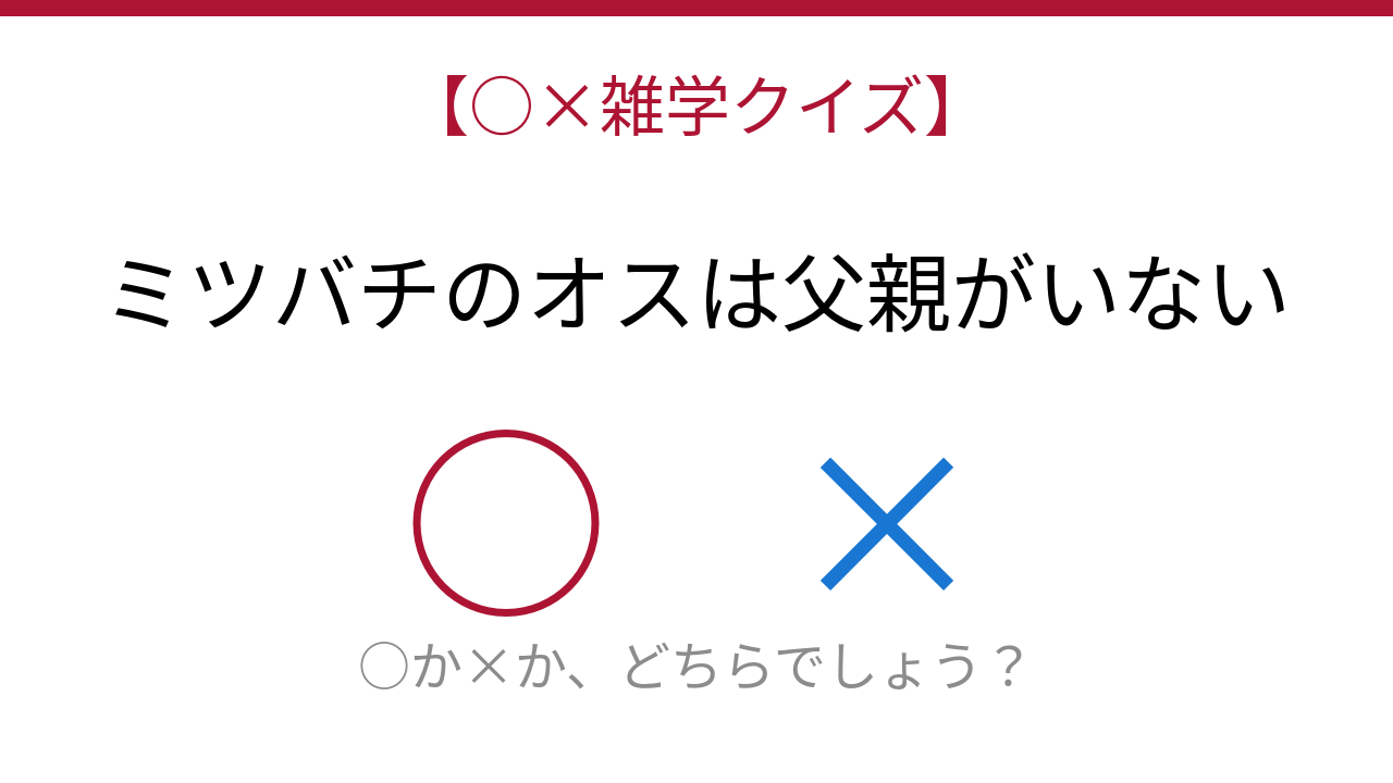 【○×雑学クイズ】これ本当？驚きの昆虫の生殖戦略