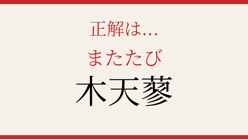 正解画像
