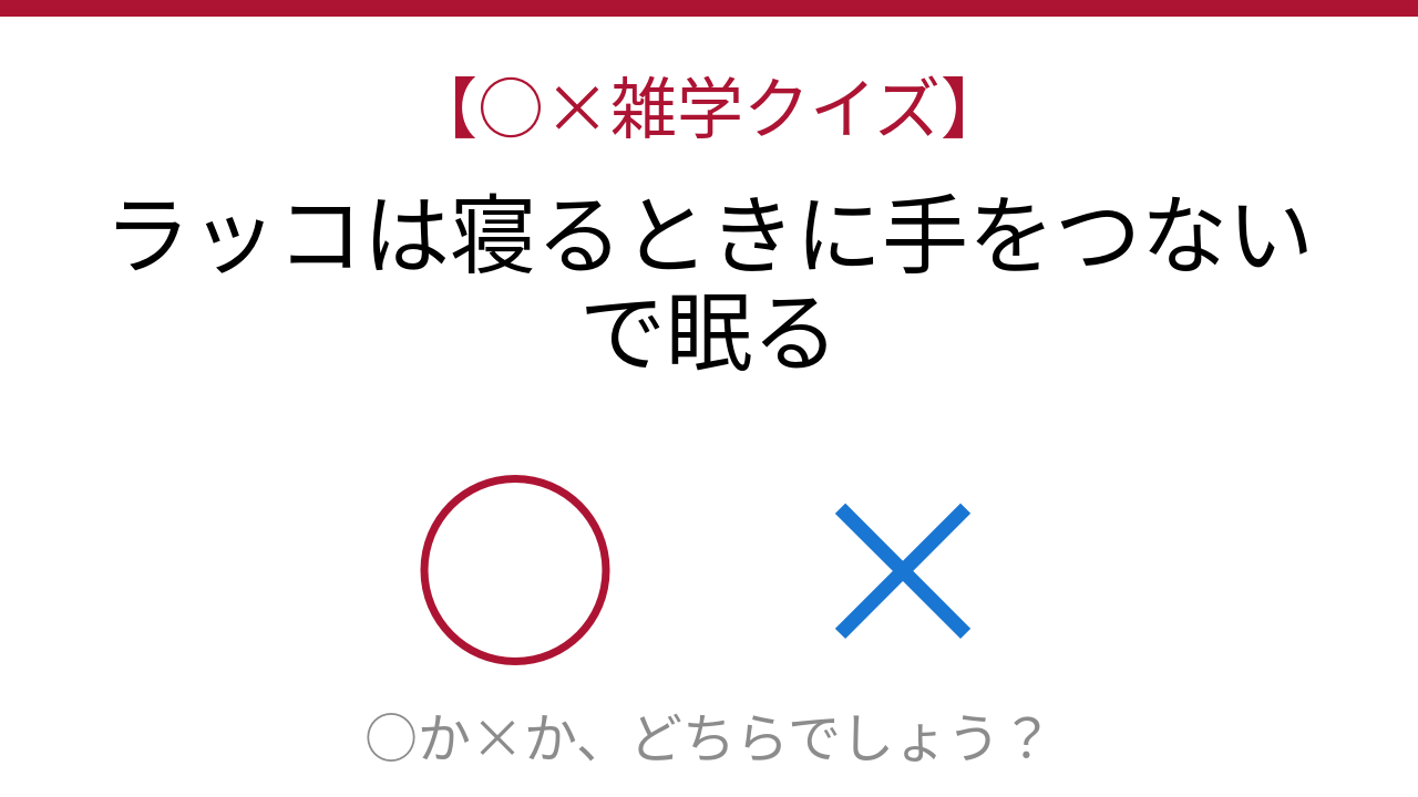 【○×雑学クイズ】これ本当？可愛すぎて嘘くさい動物の習性！の問題イメージ