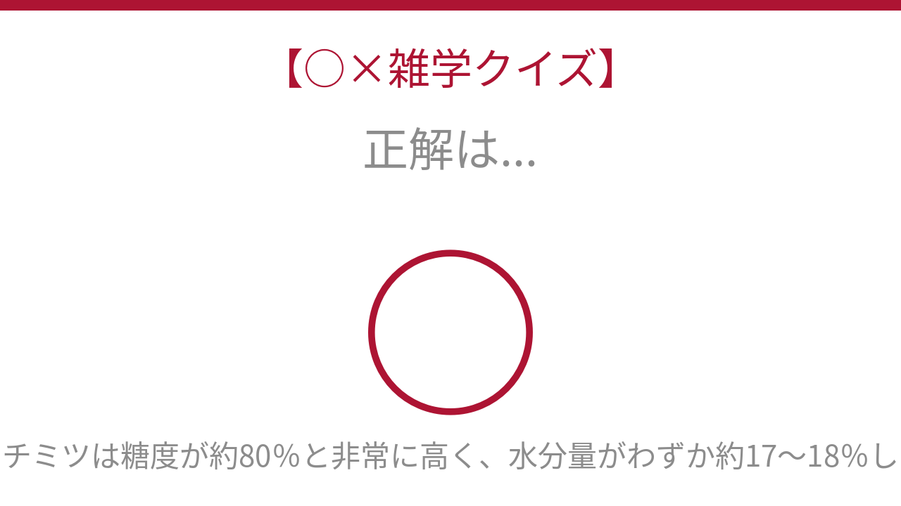 正解画像