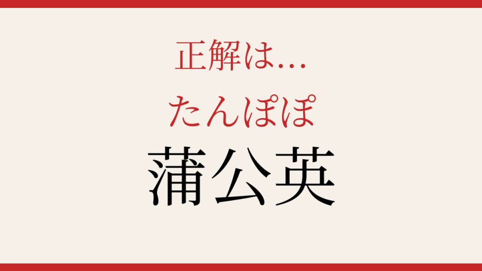 正解画像