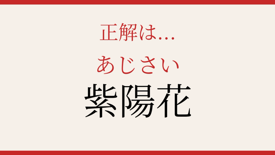 正解画像
