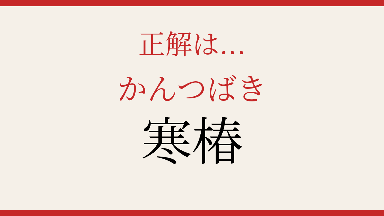 正解画像