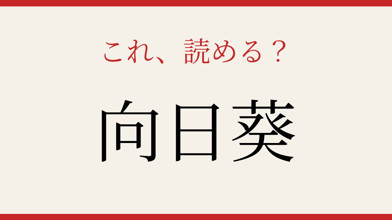 【難読漢字】見たことはあるけど読めない！太陽を追いかける花の問題イメージ