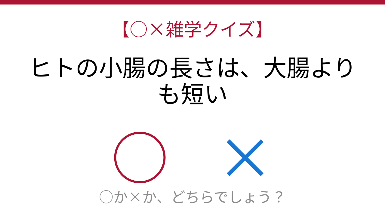 【○×雑学クイズ】これ本当？人体の常識を覆す事実