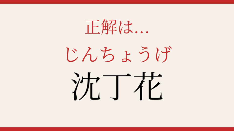 正解画像