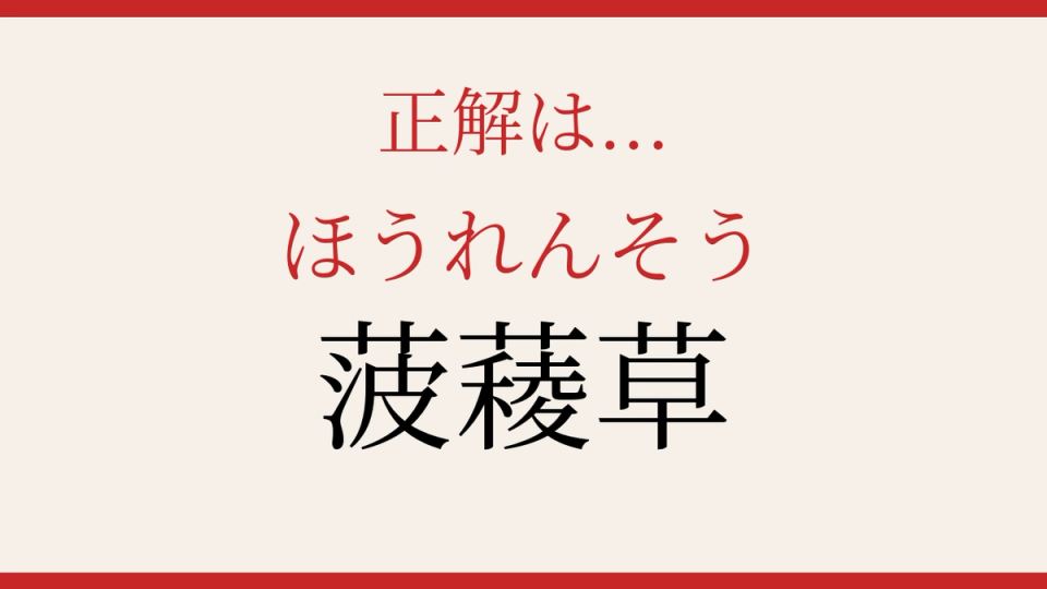 正解画像