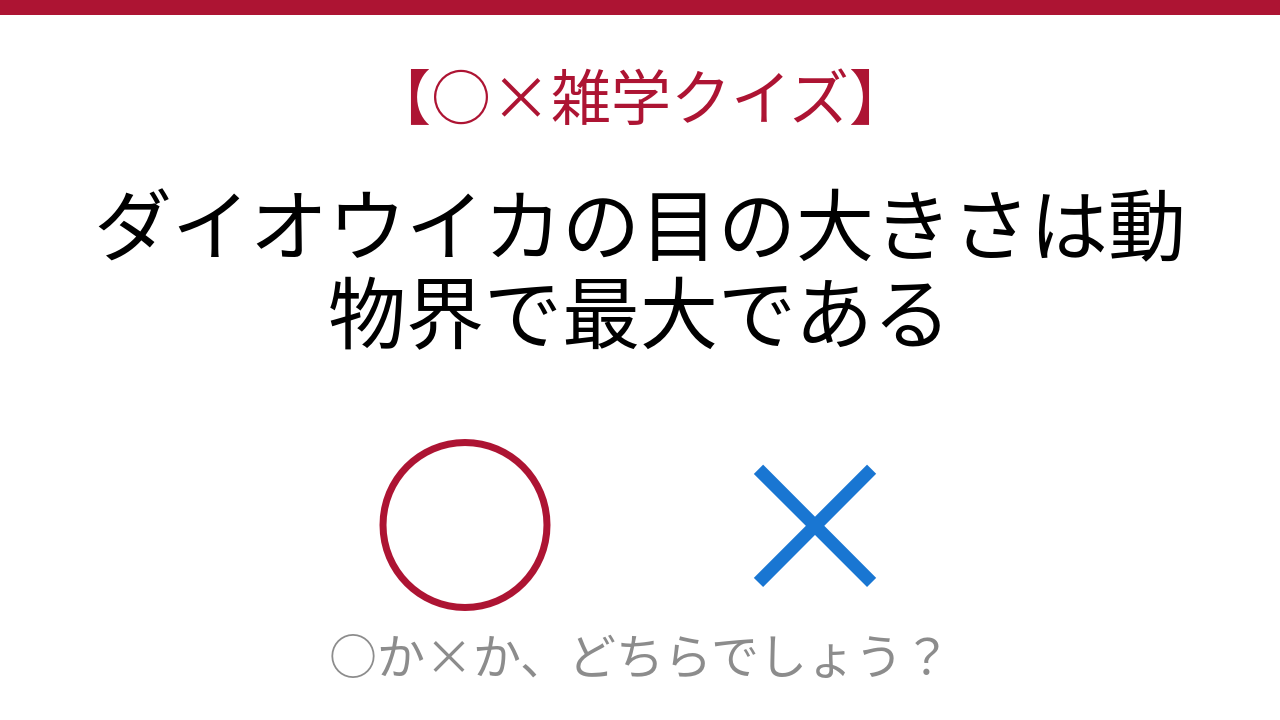 【○×雑学クイズ】これ本当？深海の怪物が持つ驚異のサイズ