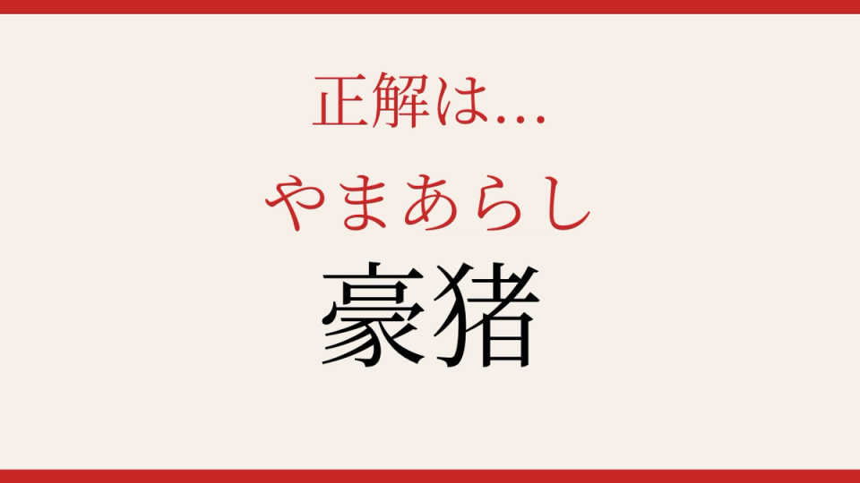 正解画像