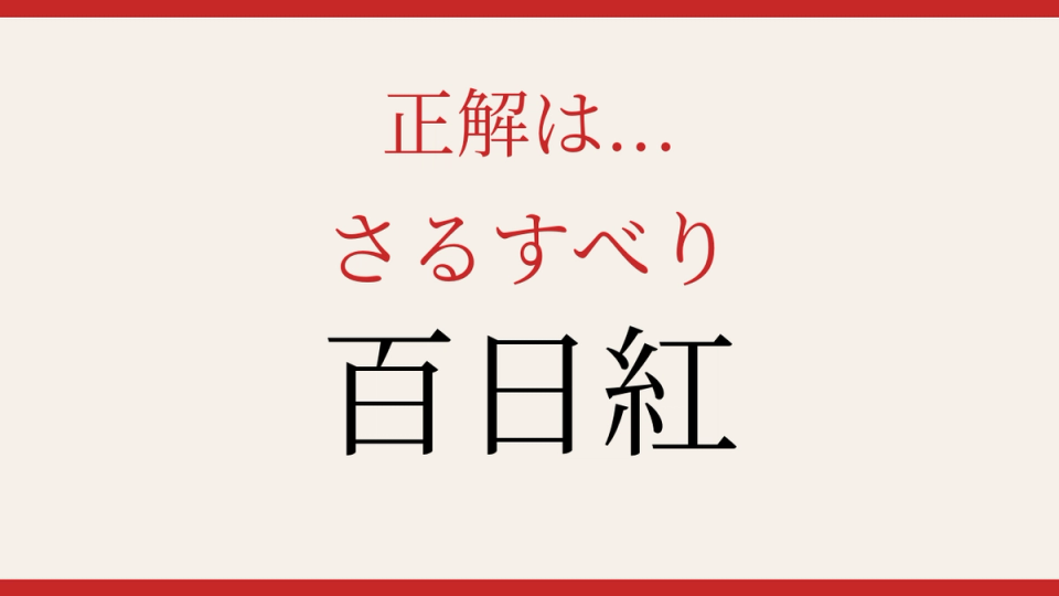 正解画像