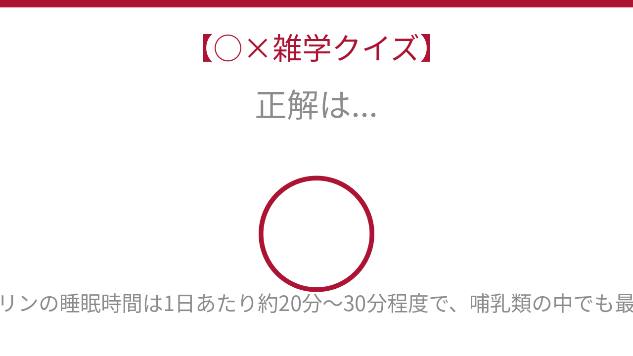 正解画像