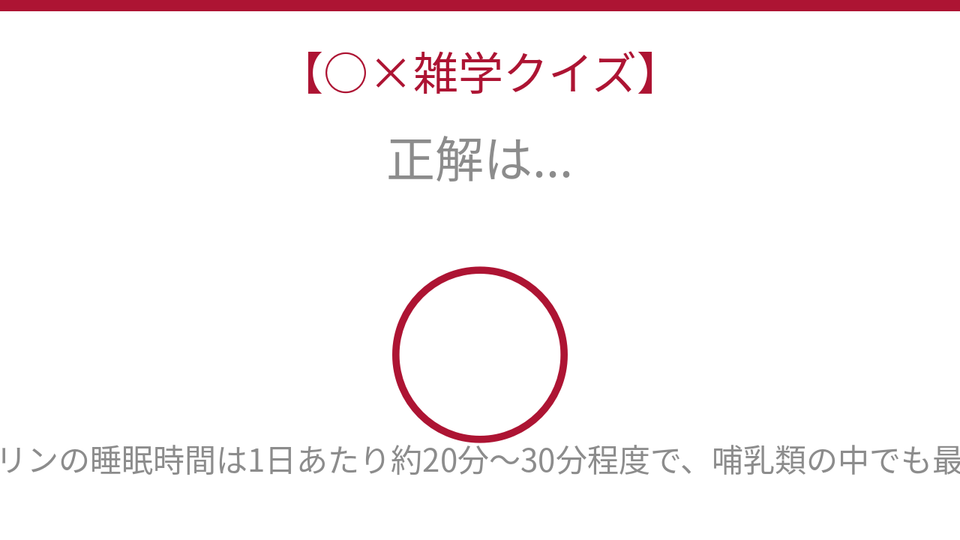 正解画像