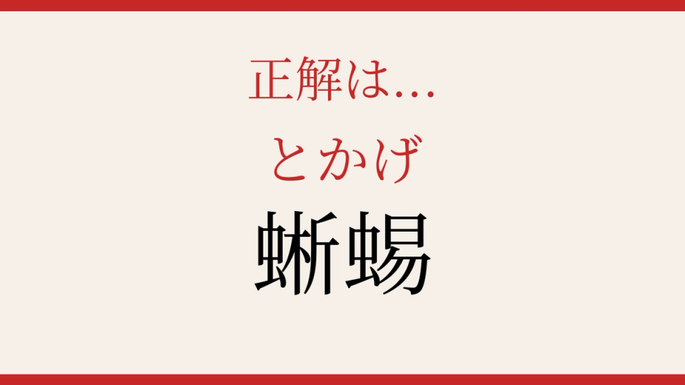正解画像