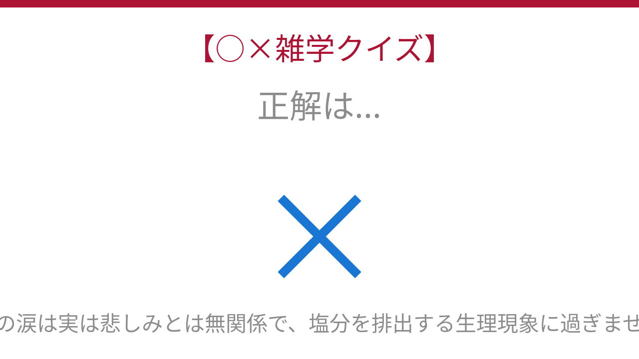 正解画像