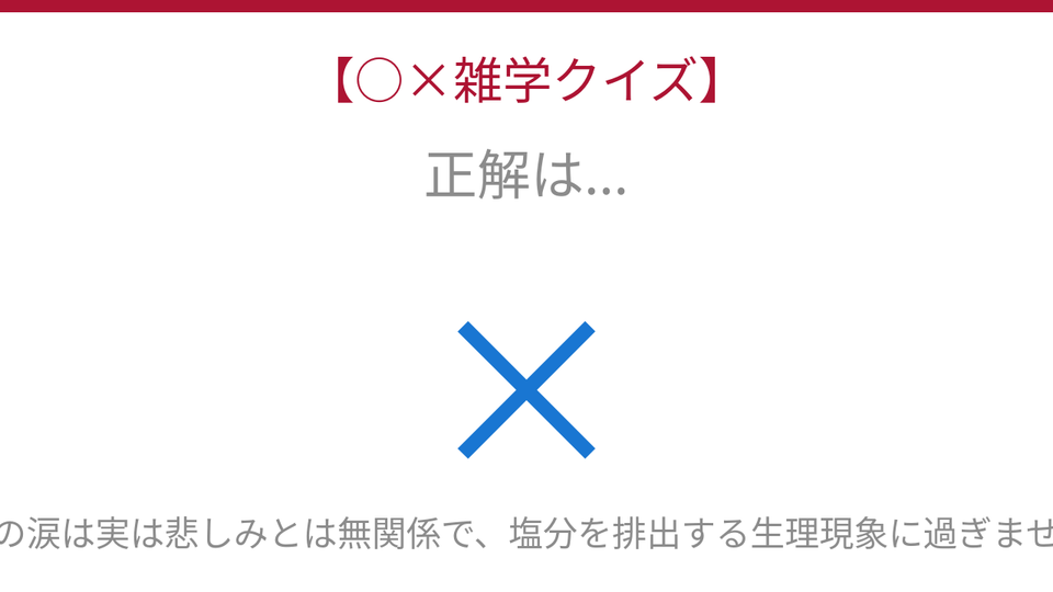 正解画像
