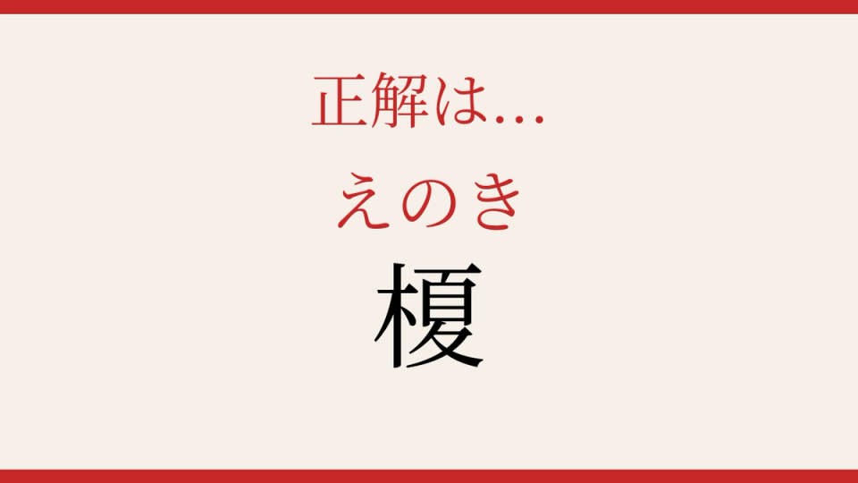正解画像