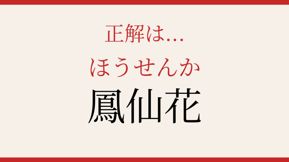 正解画像