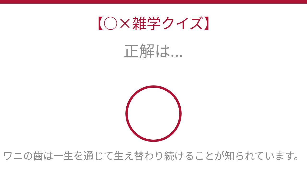 正解画像