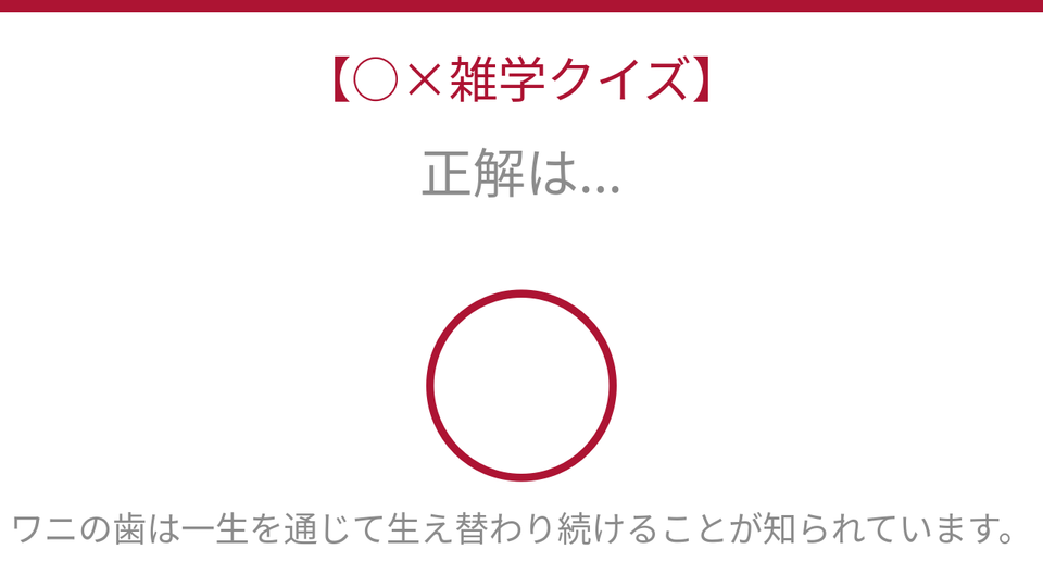 正解画像