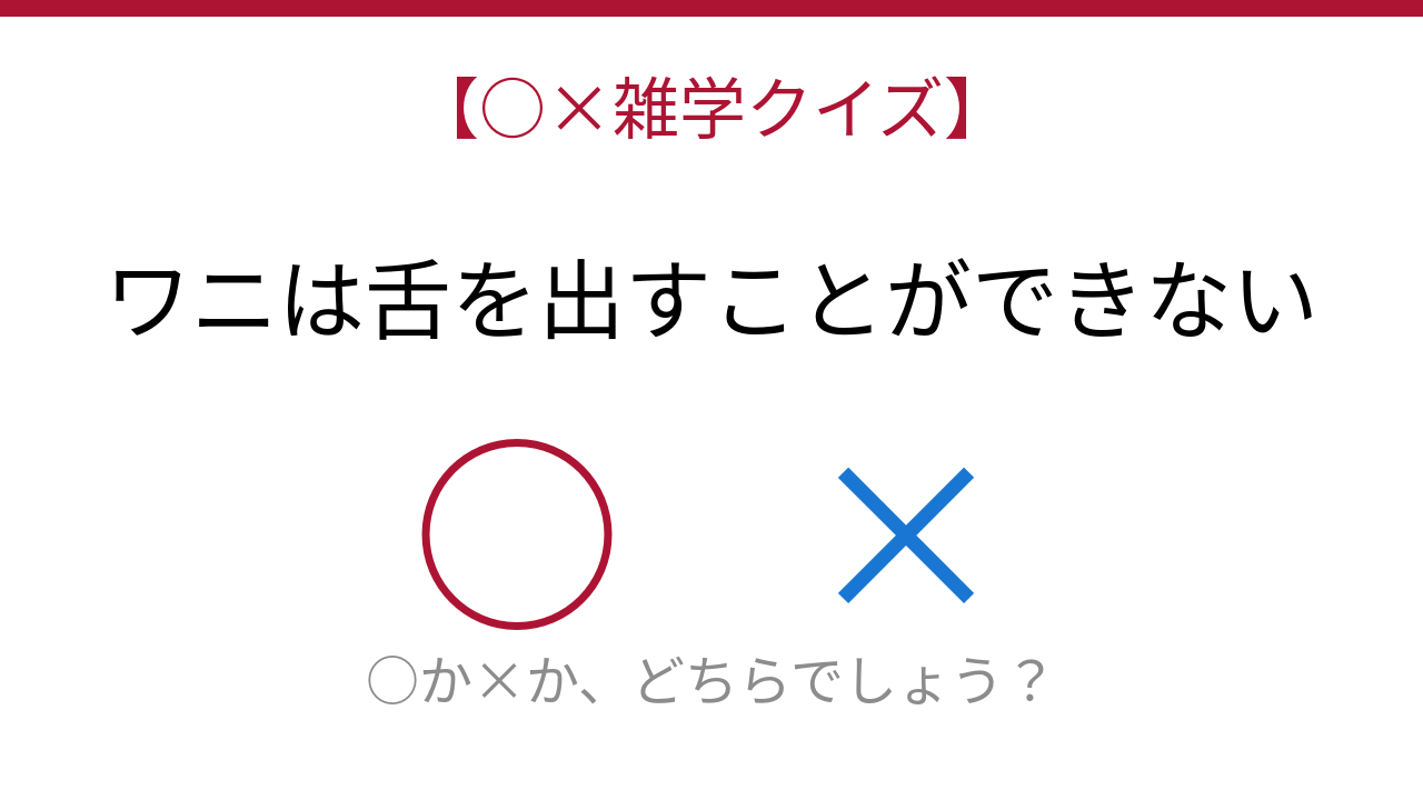 【○×雑学クイズ】これ本当？ワニの意外な弱点