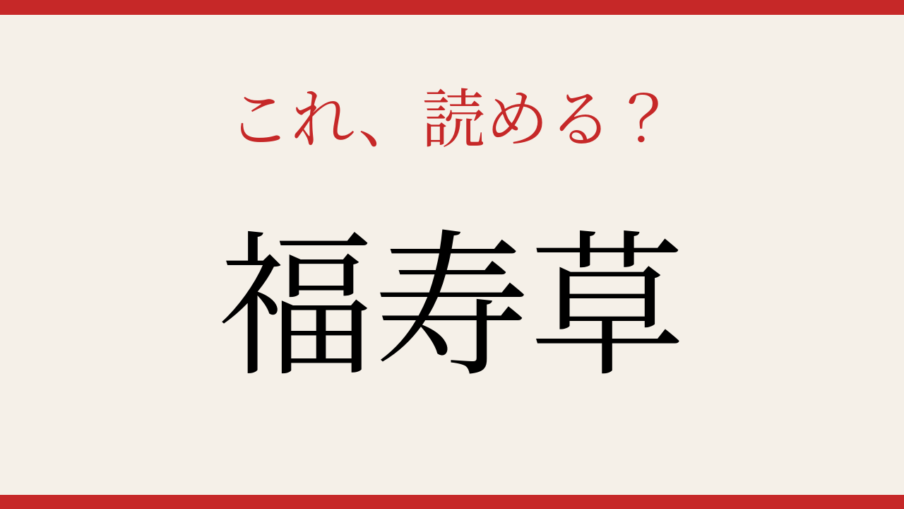 【難読漢字】読めたら周りに自慢しよう！新年を彩る早春の花の問題イメージ