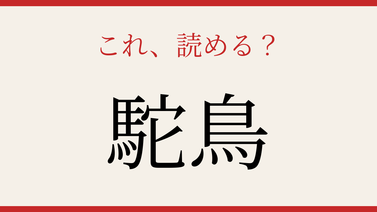【難読漢字】社会人なら読めるはず！動物の名前を漢字で読もうの問題イメージ