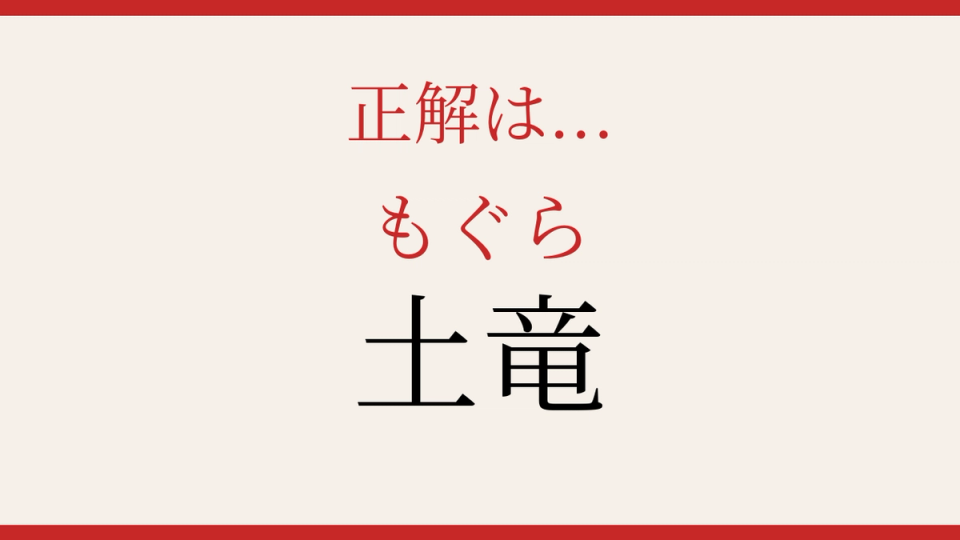 正解画像
