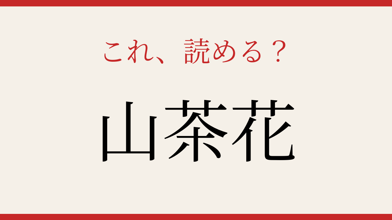 【難読漢字】10秒で読める？冬の庭を彩る花