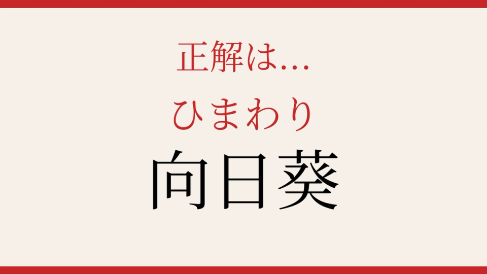 正解画像